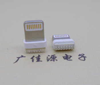 蘋(píng)果立插公頭/插頭包膠雙插充電接口